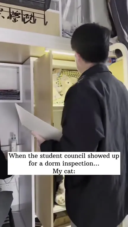 Cat Hides During Dorm Inspection