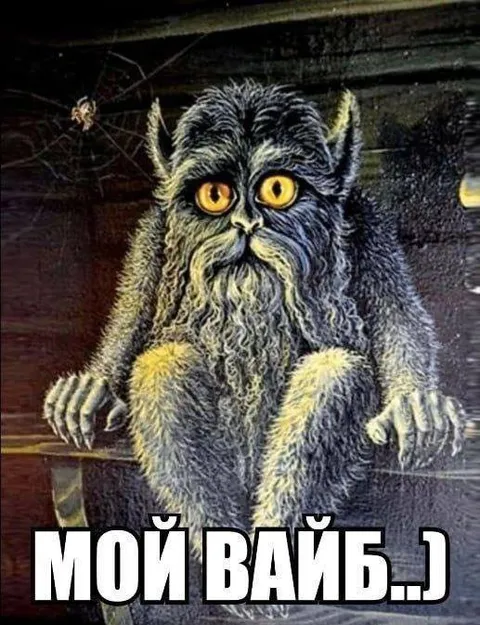 Мой вайб лохматого кота