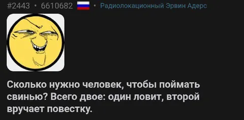 Как поймать свинью