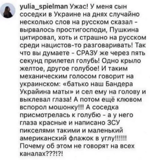 Голубь с флагом ЗСУ