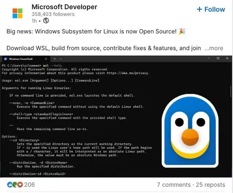 Windows Subsystem for Linux Penguin