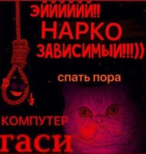 Наркозависимый компьютер не спит