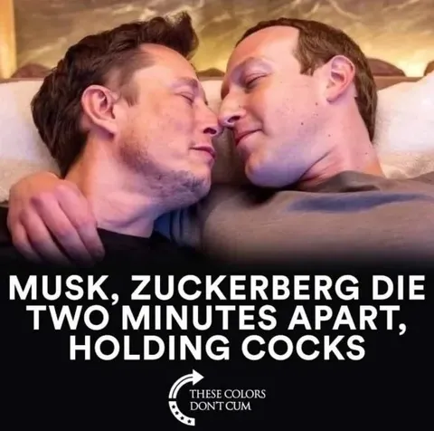 Musk Zuckerberg Holding Cocks