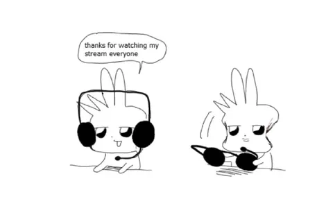Thanks for Watching My Stream