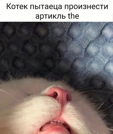 Кот пытается произнести the