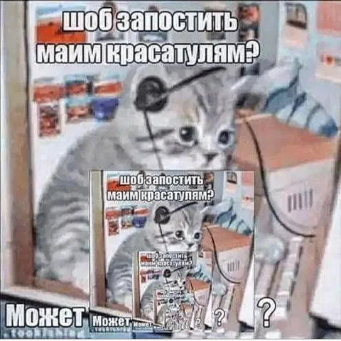 Кот пытается запостить красатулям