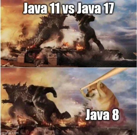 Java Versions Battle Doge