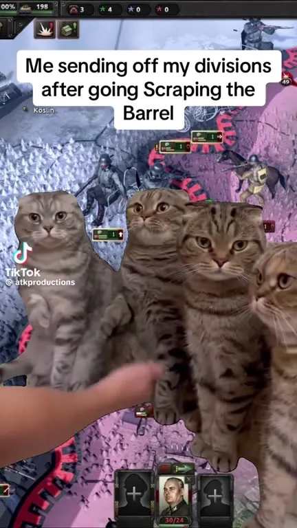 Sending Off the Cat Divisions