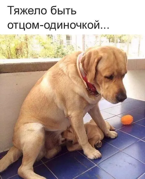 Тяжело быть отцом-одиночкой
