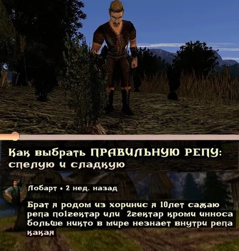 Как выбрать правильную репу