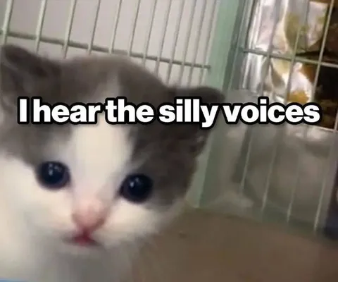 I Hear the Silly Voices