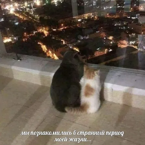 Мы познакомились в странный период