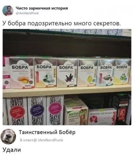 У бобра слишком много секретов