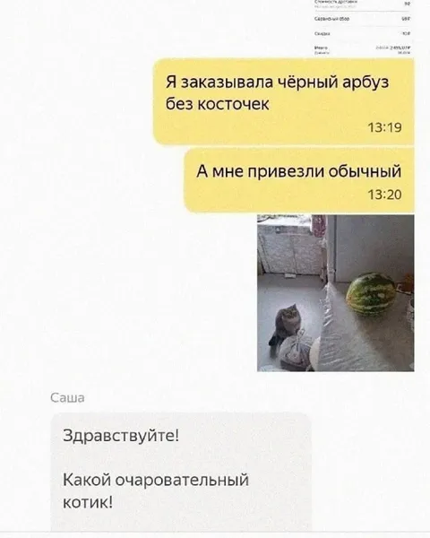Заказала арбуз, привезли кота