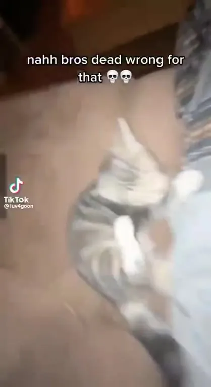 Dead Wrong About the Cat
