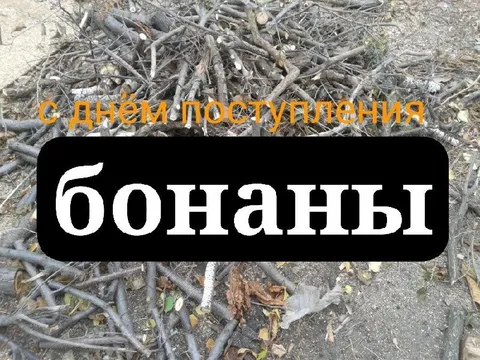 С днём поступления бананы