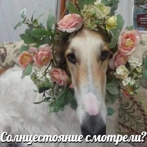 Солнцестояние смотрели?