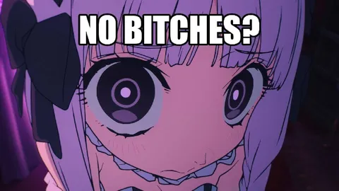 No Bitches Anime Girl