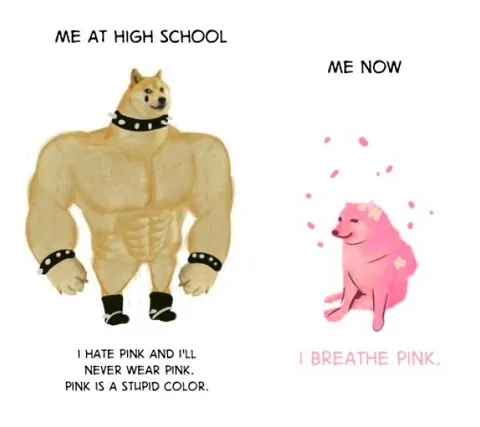 High School Doge vs Pink Dog