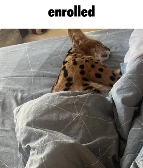Enrolled in Sleep Class