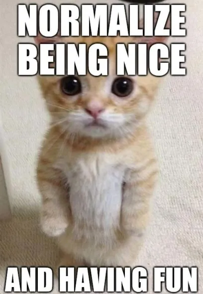 Normalize Being Nice and Having Fun