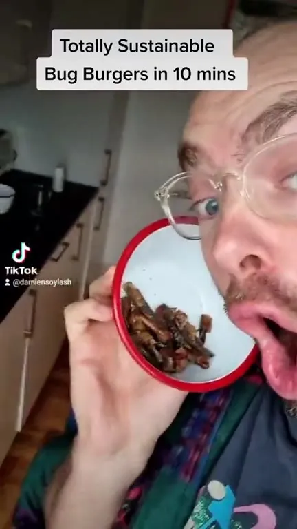 Totally Sustainable Bug Burgers