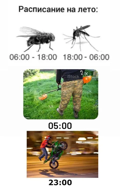 Расписание на лето