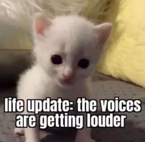 Kitten Hearing Voices