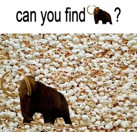 Can You Find the Mammoth