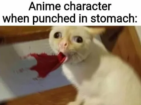 Anime Character Punched in Stomach
