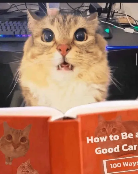 Cat Reads How to Be a Good Cat