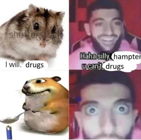 Hampter Will Do Drugs