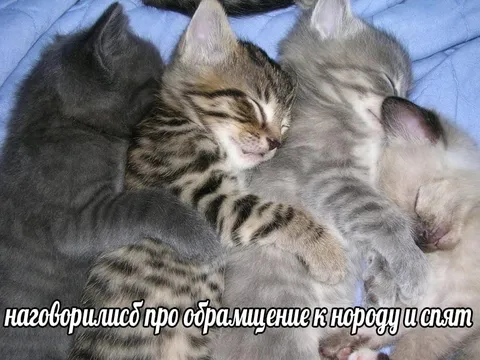 Наговорились про обращение к народу