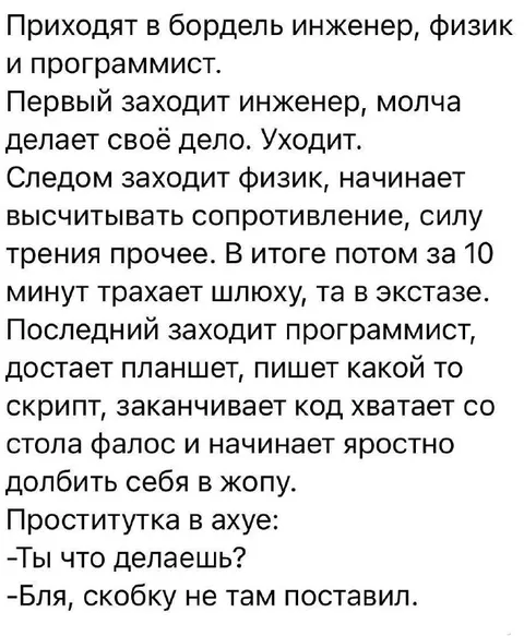 Инженер, физик и программист в борделе
