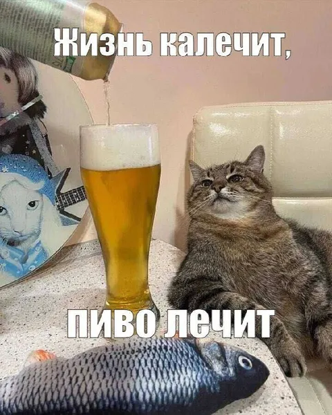 Жизнь калечит, пиво лечит