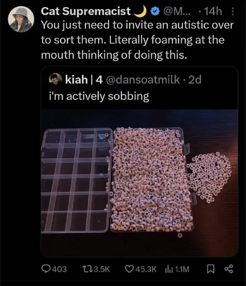 Alphabet Beads Sorting Meltdown
