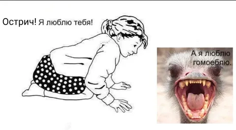 Острич, я люблю тебя