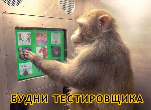 Будни тестировщика