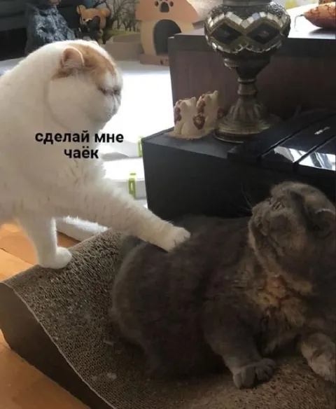 Сделай мне чаёк