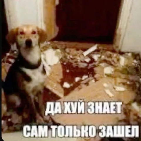Даже я знает сам только зашел