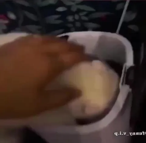 Коты в безумном игровом монтаже