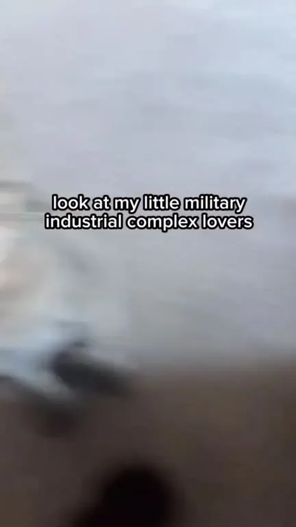 Cats Who Will Build Missiles