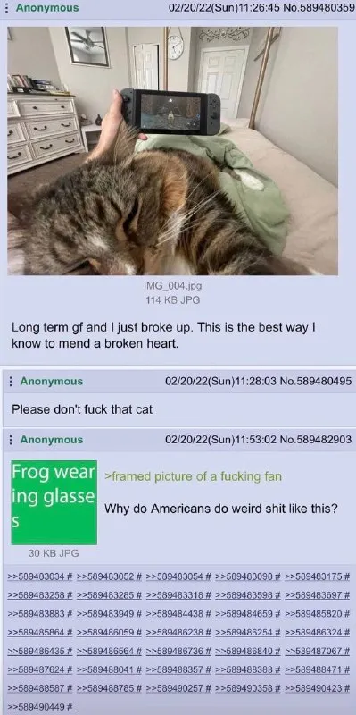 Please Don't Fuck That Cat