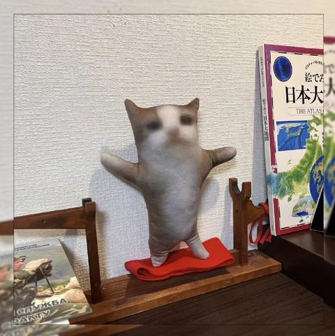 Кот-манекен на полке
