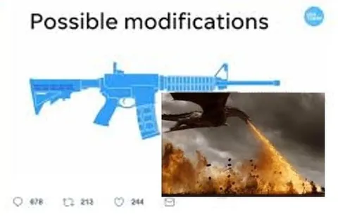 Possible Rifle Modifications