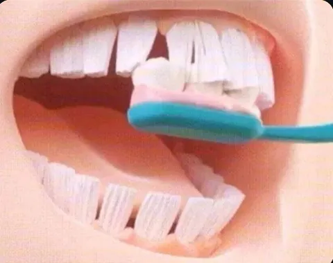 Зубная щётка чистит зубы