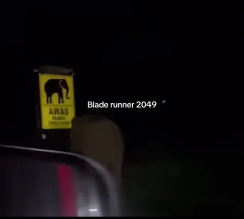 Blade Runner Elephant