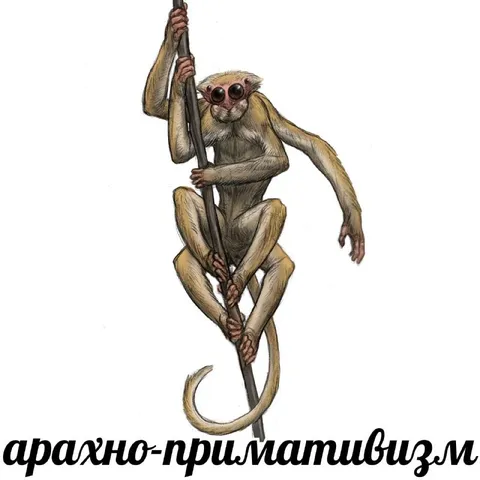 Афажно-примативизм с обезьяной