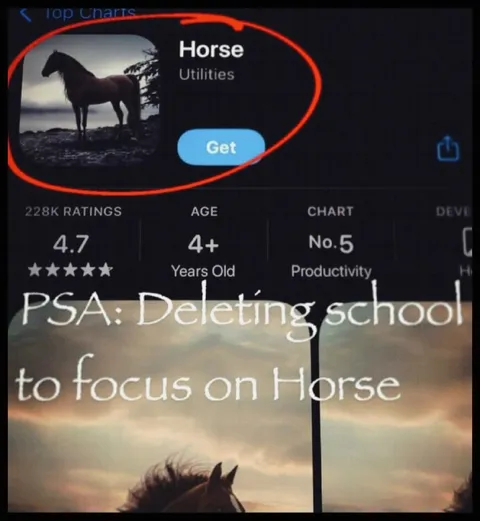 Deleting School for Horse