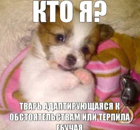 Кто я? Терпила или адаптант